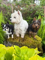 494687247_1455460355623931_6367237630729299916_n