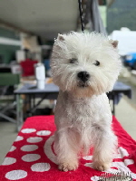 494690453_702437435770682_5398286983313779577_n