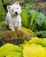 494691651_1034828342123444_6209221324008590274_n