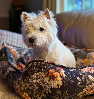 494821863_1402108757781758_1297799704246268777_n